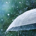 Monsoon winds