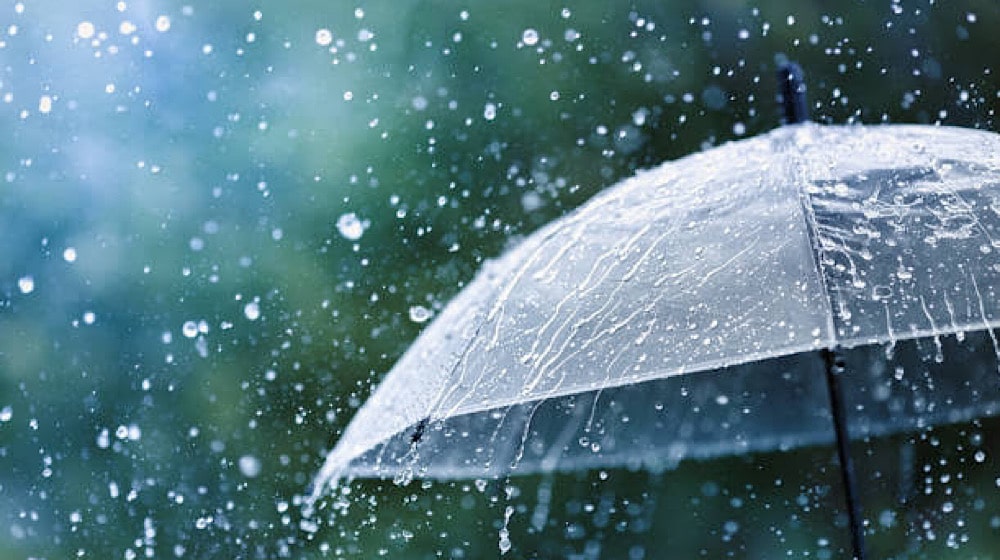 Monsoon winds