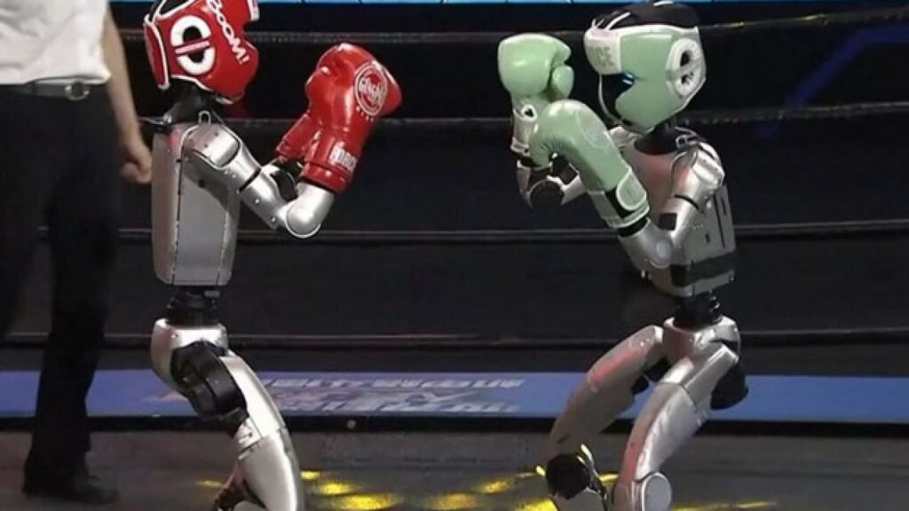 robot boxers