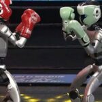 robot boxers