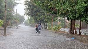 rain