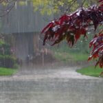 Rainy season